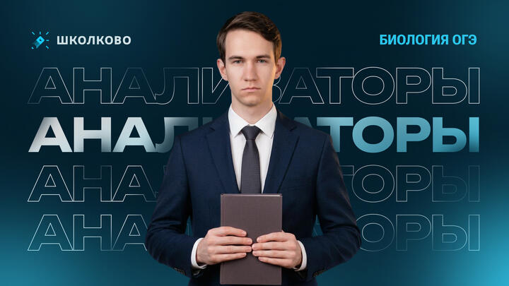 Анализаторы