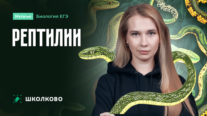Рептилии