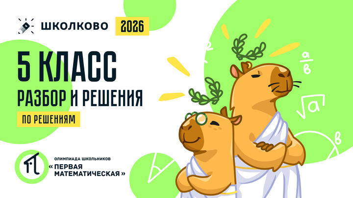 5 класс (по РЕШЕНИЯМ): разбор и решения