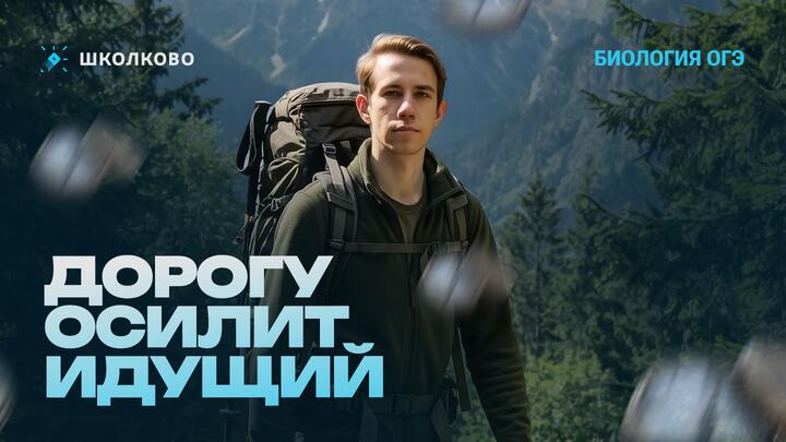 Дорогу осилит идущий