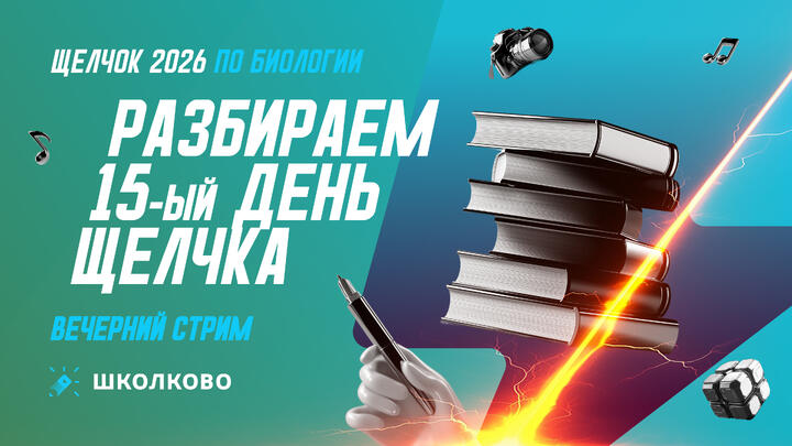 Итоги 15 дня