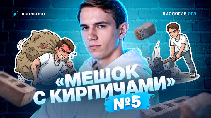 ПБЕ №5 «Мешок с кирпичами»