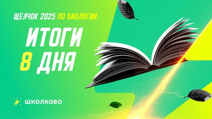 Итоги 8 дня щелчка