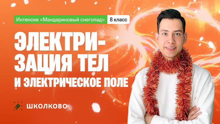 Электризация тел и электрическое поле | 8 класс | Интенсив по школьной физике