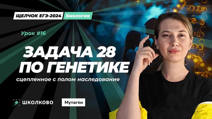 Задача по генетике 28 на сцепленное с полом наследование. ЕГЭ 2024