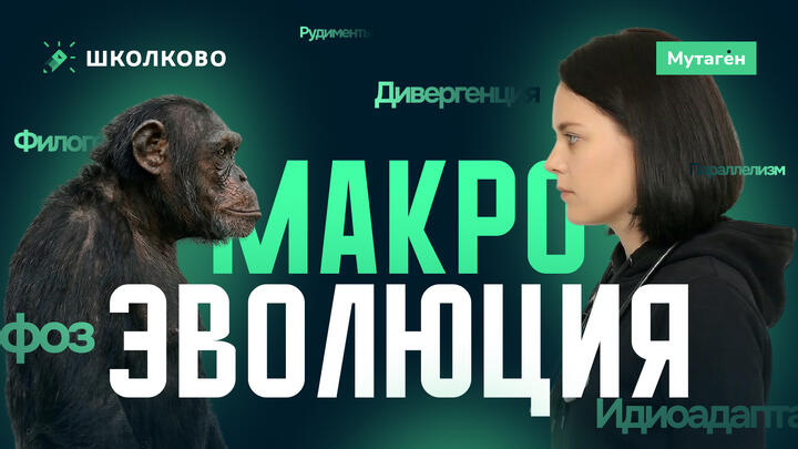 Макроэволюция | Подготовка к ЕГЭ - 2026 по Биологии 