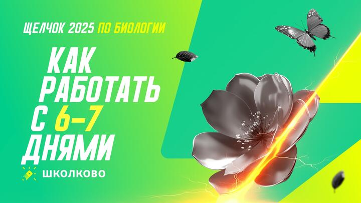Как работать с 6 и 7 днем щелчка
