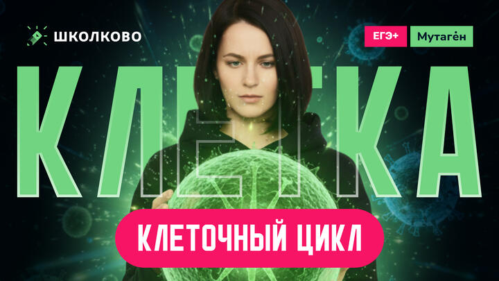 Клеточный уровень. Клеточный цикл