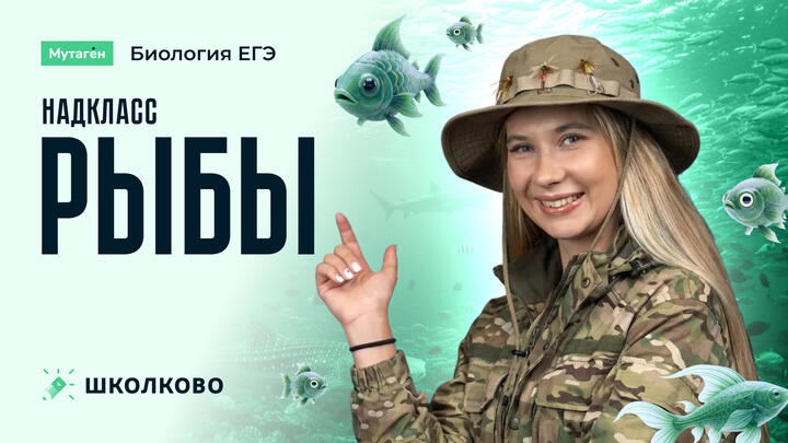 Надкласс Рыбы | Подготовка к ЕГЭ 2026 по Биологии 