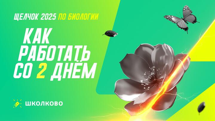 Как работать со 2 днем щелчка