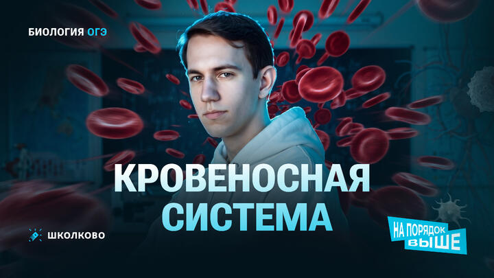 Кровеносная система | ОГЭ 2027 по биологии