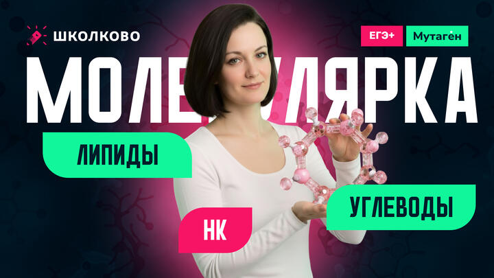 Молекулярный уровень. Липиды, углеводы и нуклеиновые кислоты