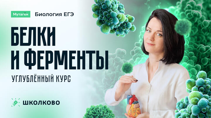 ЕГЭ+. Белки и ферменты