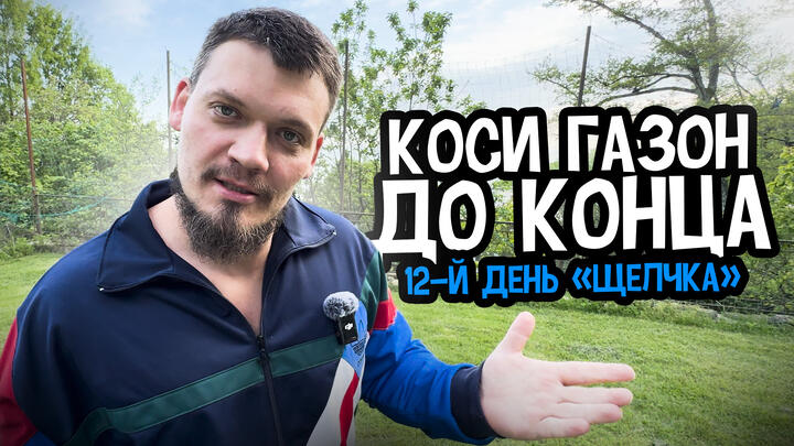 КОСИ ГАЗОН ДО КОНЦА | 12-й день «Щелчка»