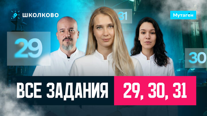 Разбор всех заданий 29,30,31 из сборника Добротина 2026