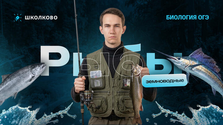 Рыбы, земноводные