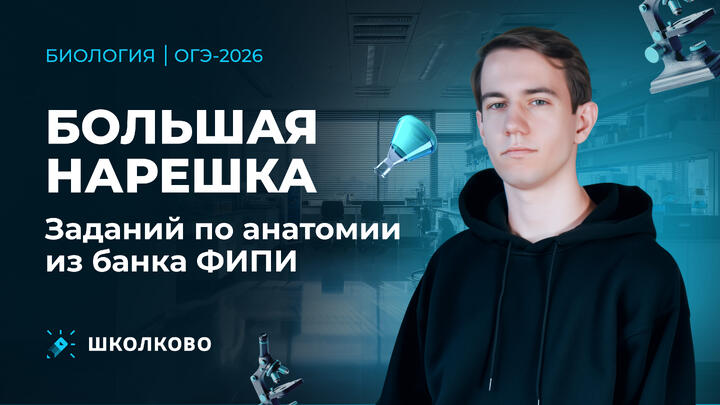 Большая нарешка заданий по анатомии из банка ФИПИ