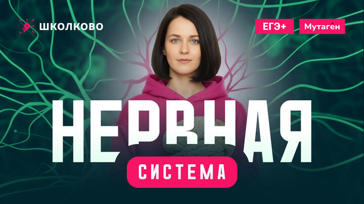 Нервная система | Подготовка к ЕГЭ - 2026 по Биологии 