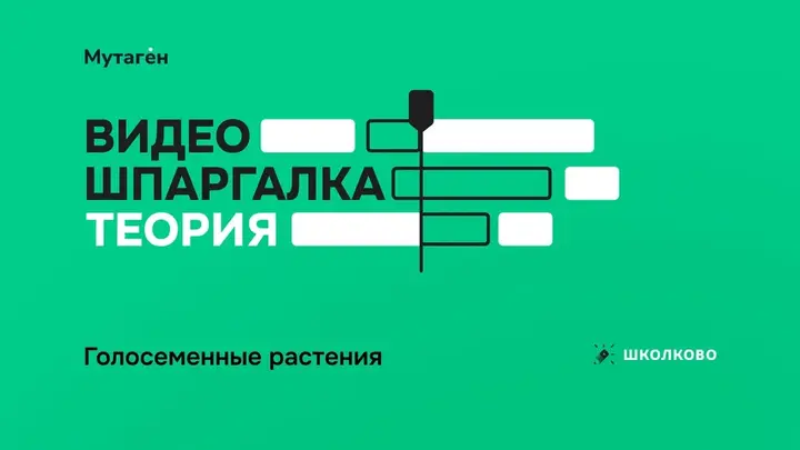 Голосеменные растения. Видео шпаргалка 