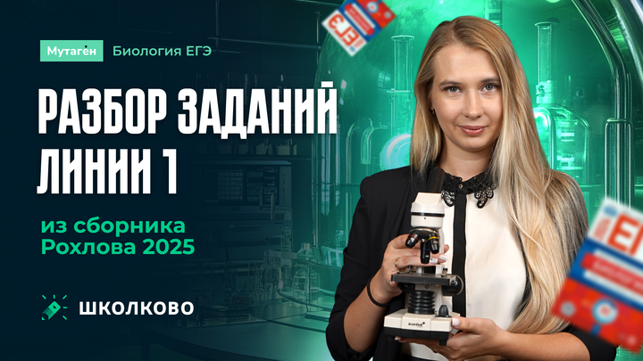 Разбор заданий линии 1 из сборника Рохлова 2025
