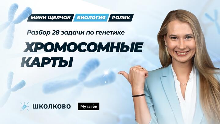 Разбор 28 задачи по генетике: Хромосомные карты