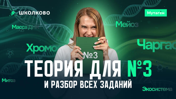 Теория для выполнения номер 3 и разбор всех заданий 3