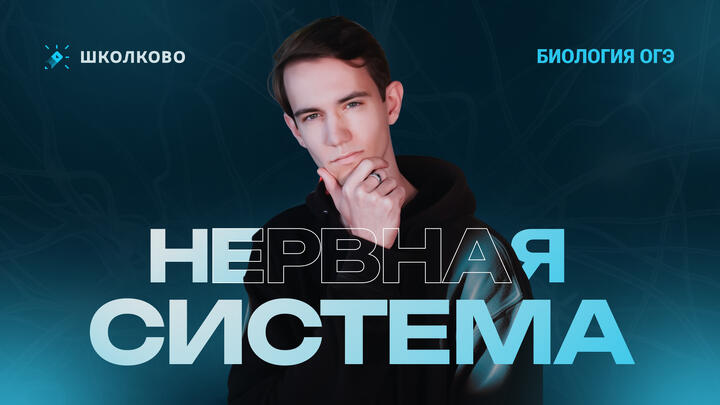 Нервная система