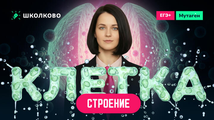 Клеточный уровень. Строение клетки