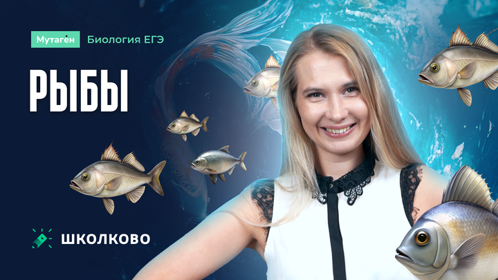 Рыбы