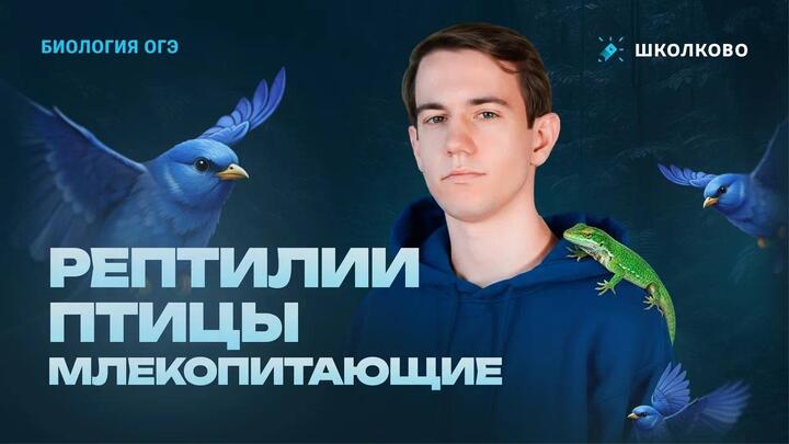 Рептилии, птицы, млекопитающие