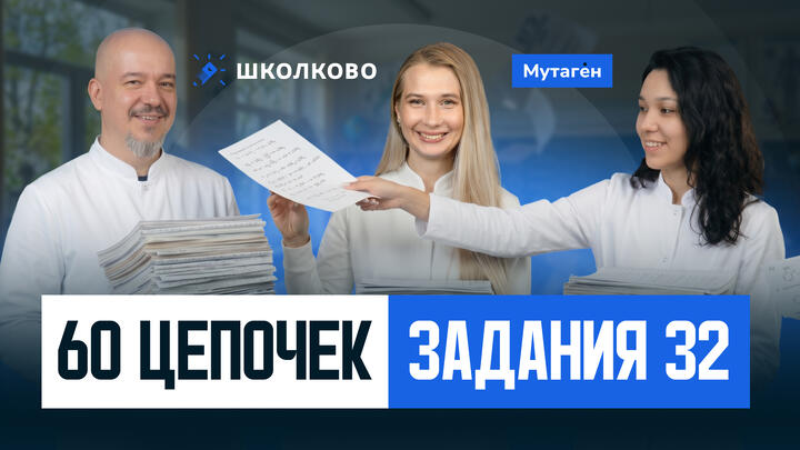 Разбор заданий 32. Разбираем 60 цепочек | Большой веб Часть 2