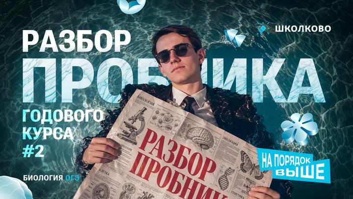 Разбор пробника Годового курса №2