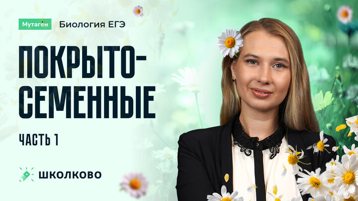 Покрытосеменные. Часть 1 | Подготовка к ЕГЭ 2026 по биологии