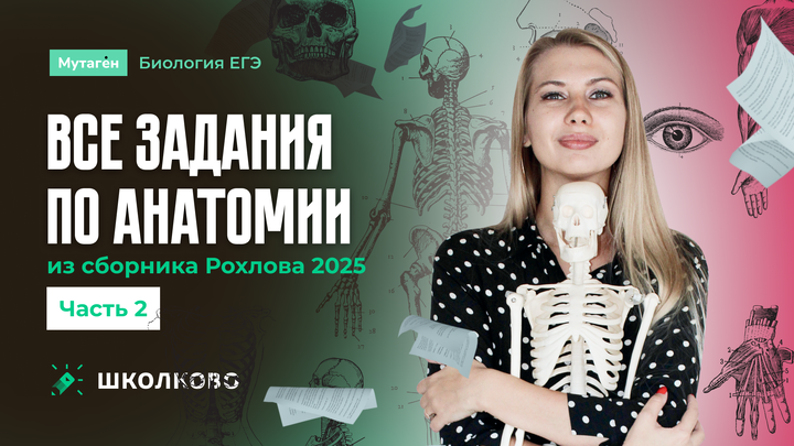 Разбор всех заданий Анатомия 2 часть из сборника Рохлова 2025 | ЕГЭ 2025 по Биологии