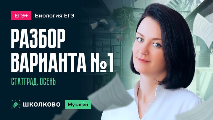 Разбор осеннего варианта 1 стадграда